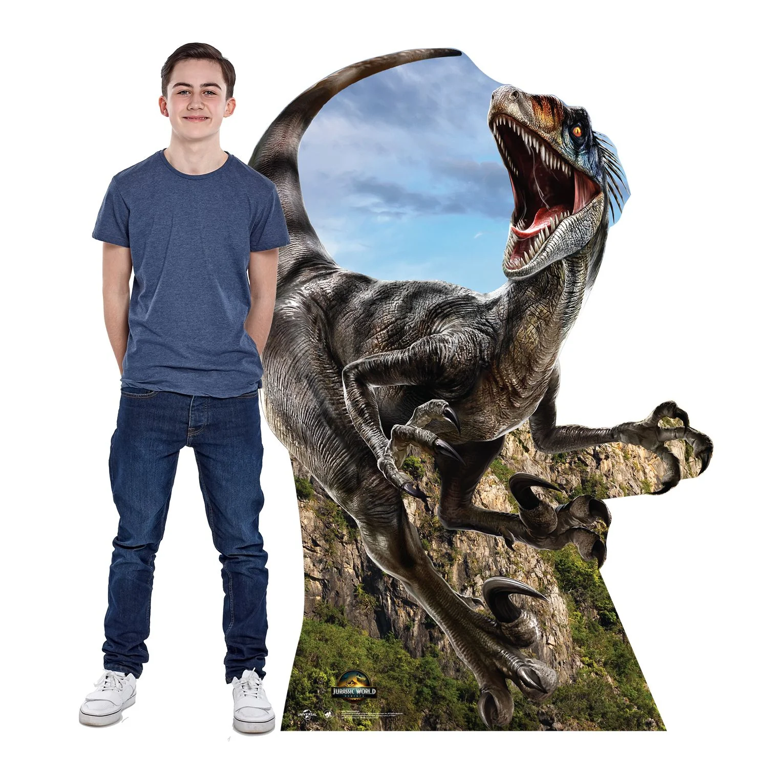 Thumbnail 2